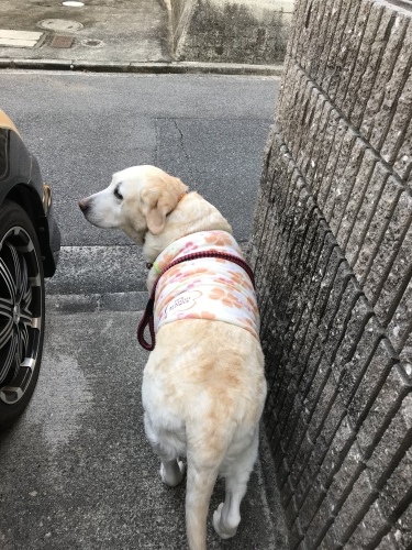 f0315081_17482265.jpeg