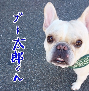 そっくりさん_f0357682_20222179.jpg