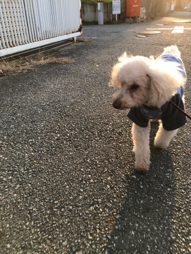 a0216583_22520787.jpeg