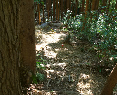 b0123486_10404301.jpg