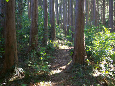 b0123486_11330090.jpg