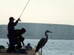 b0192588_8135693.jpg