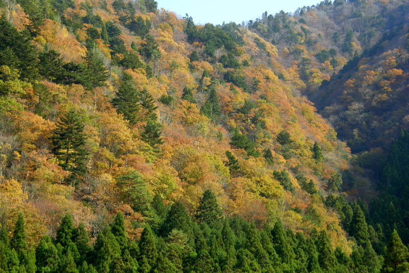 c0057390_18014177.jpg
