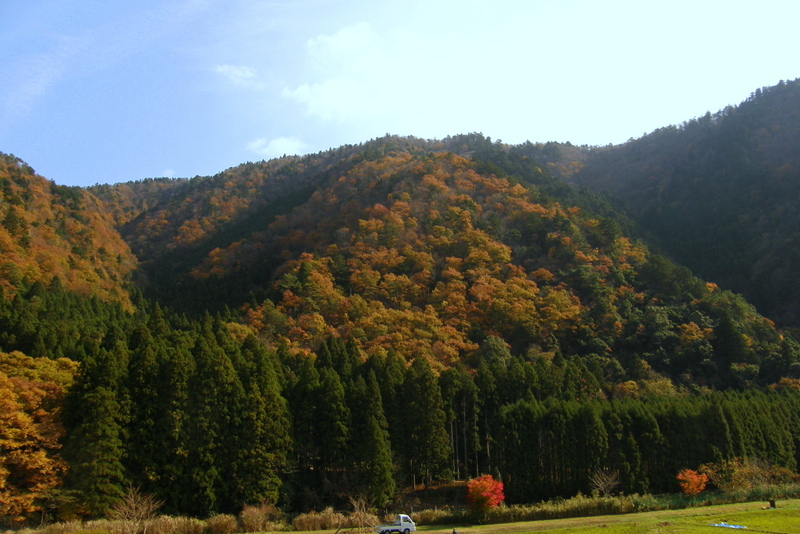 c0057390_18015589.jpg