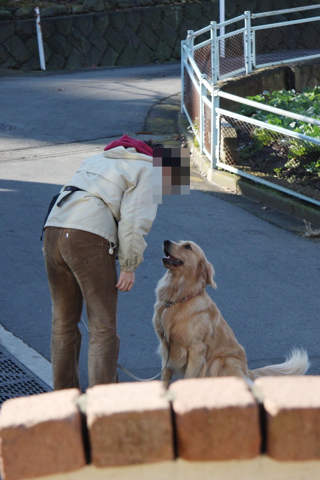 一歳。生意気なリード♪(2)_b0275998_18415998.jpg