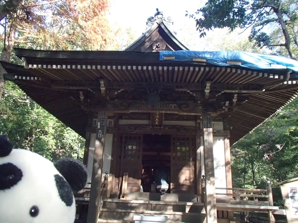 f0033598_17093055.jpg