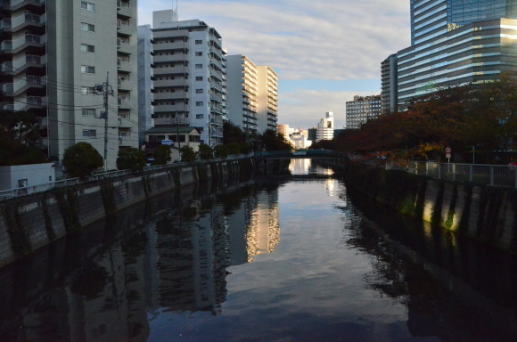 a0288500_18352339.jpg