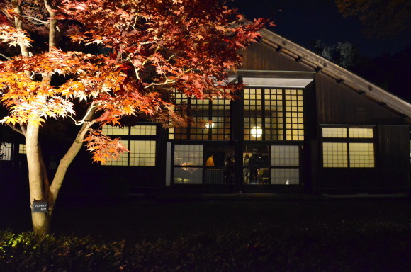 a0288500_18573678.jpg