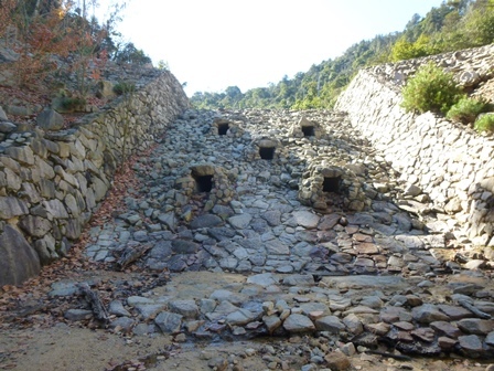 f0361605_21181261.jpg