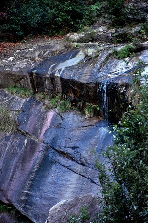f0361605_21201356.jpg