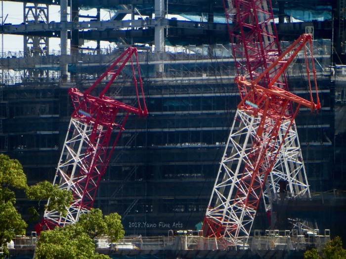 b0147808_18062097.jpg