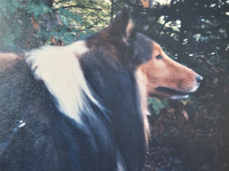 c0202113_11493412.jpg