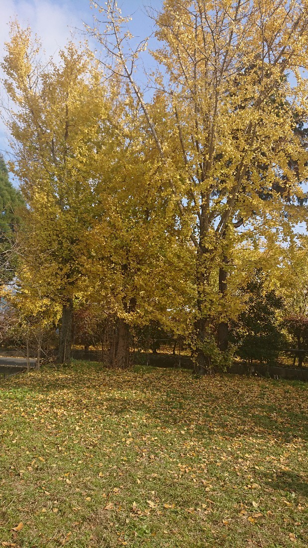 d0326314_23041045.jpg