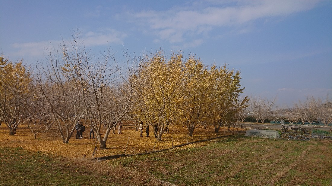 d0326314_23044677.jpg
