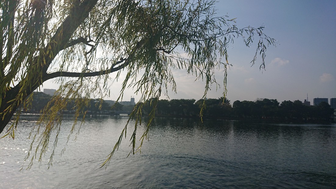 d0326314_23163370.jpg