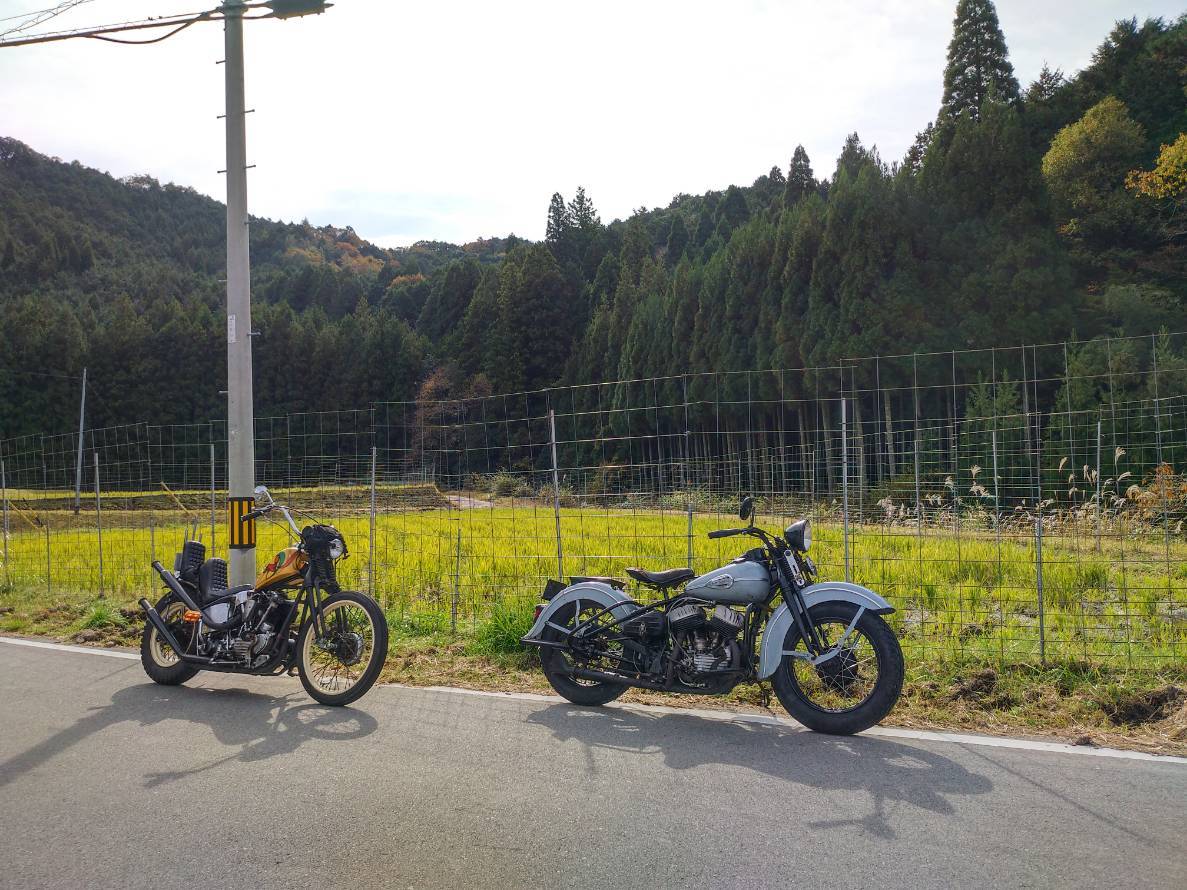 今日は昨日の続きで朝..._a0159215_00194964.jpg