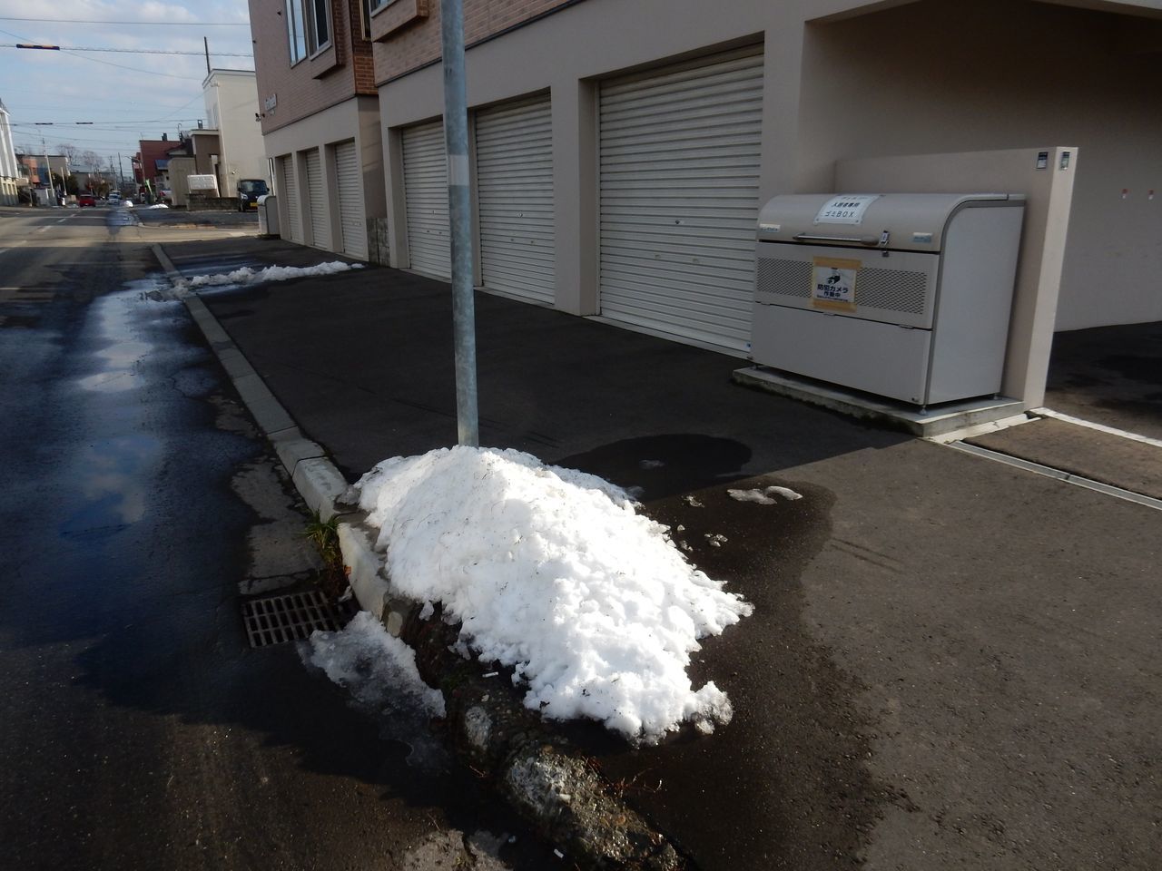 雪の季節をリセット_c0025115_21214595.jpg