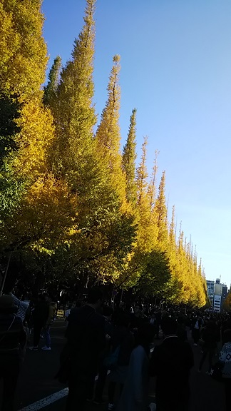 e0047322_203942.jpg