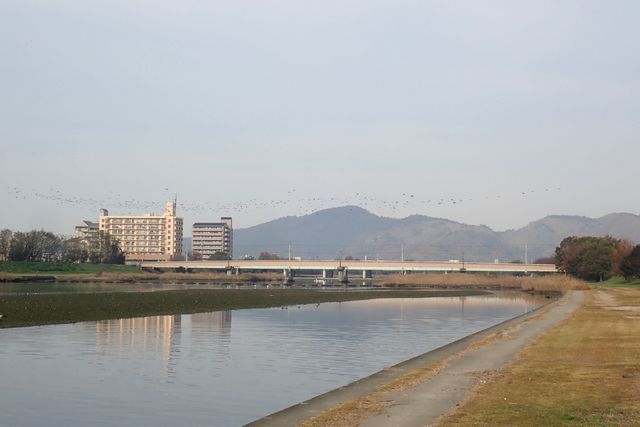 c0369423_20460468.jpg