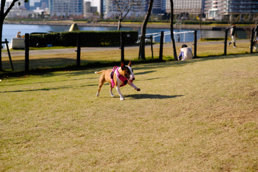 b0310424_11561277.jpg