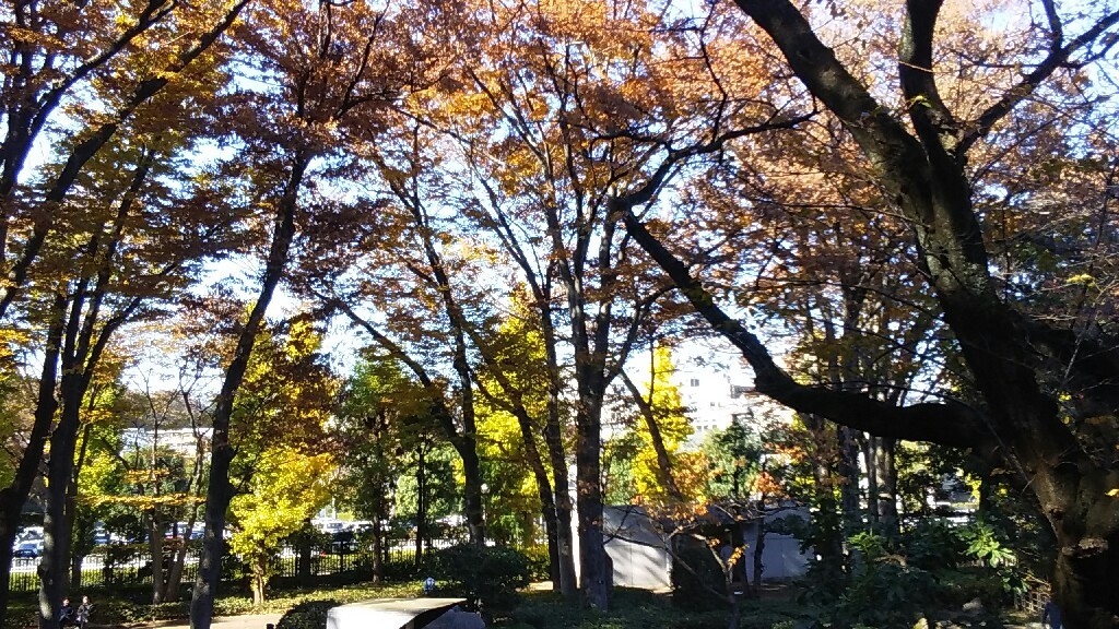 e0164825_08201217.jpg