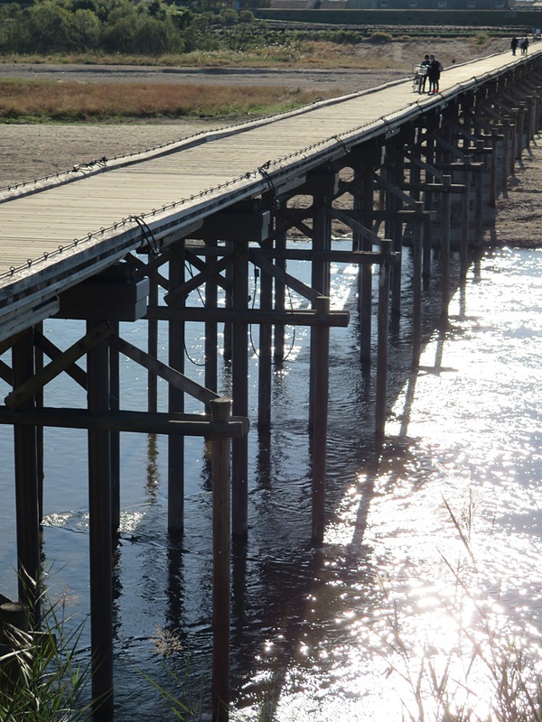 d0352628_158616.jpg