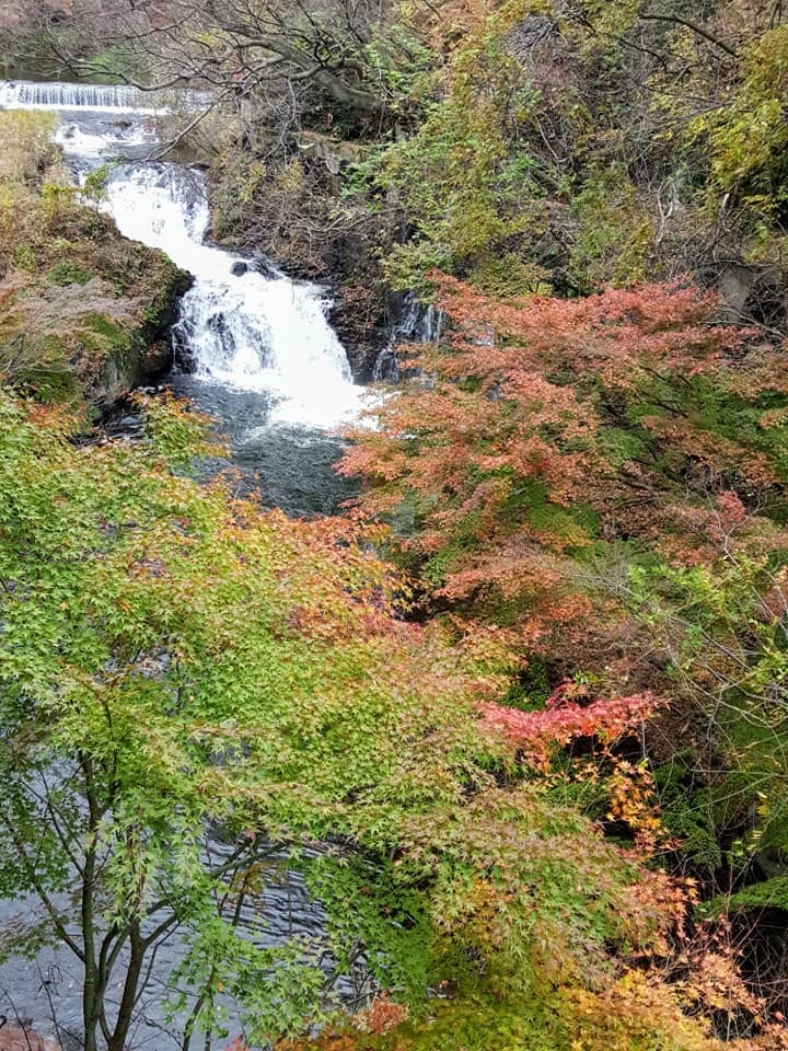 d0269832_14554169.jpeg