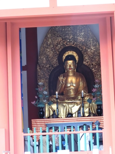 興福寺中金堂_d0085634_12215992.jpg