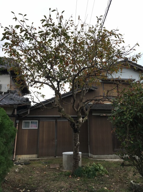f0068334_19553102.jpeg