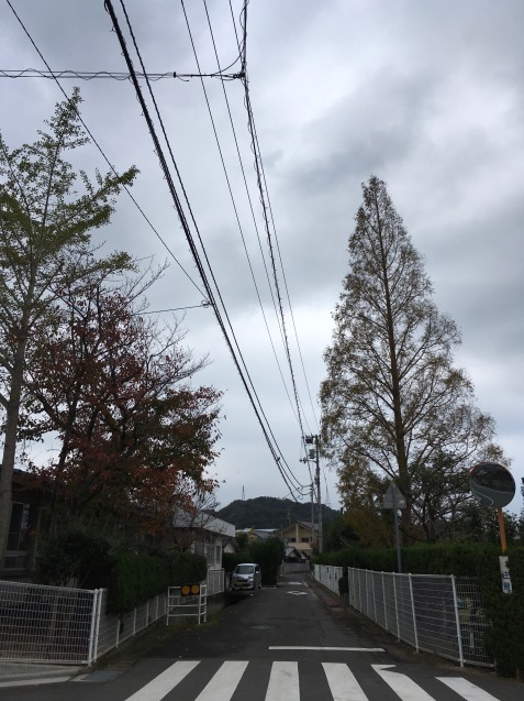 f0068334_19571965.jpeg