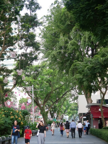 f0339434_23513685.jpg