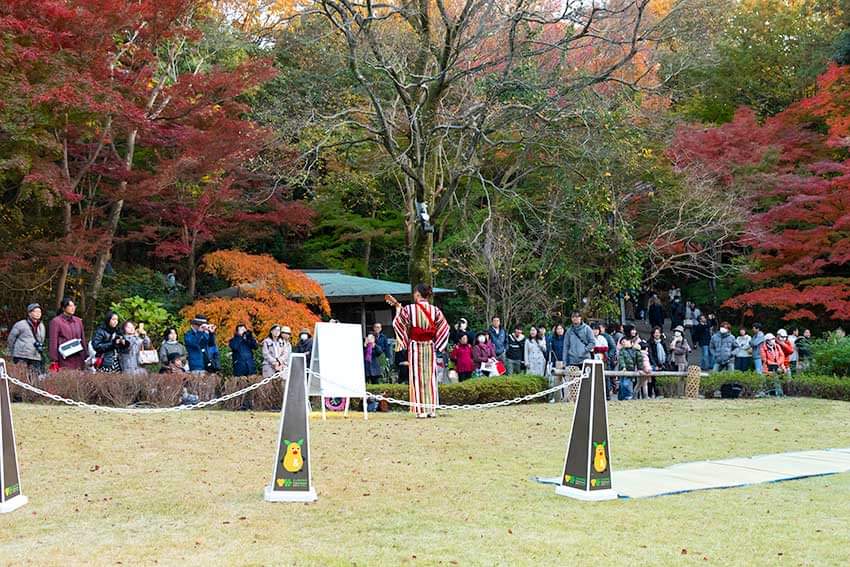 東山動植物園 紅葉ライトアップ2018 ～園内編～_f0373339_1121158.jpg