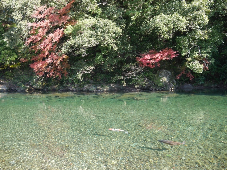 お伊勢参り_d0386342_14455393.jpeg