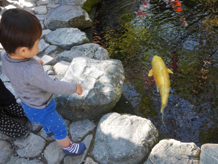 お伊勢参り_d0386342_14472155.jpeg