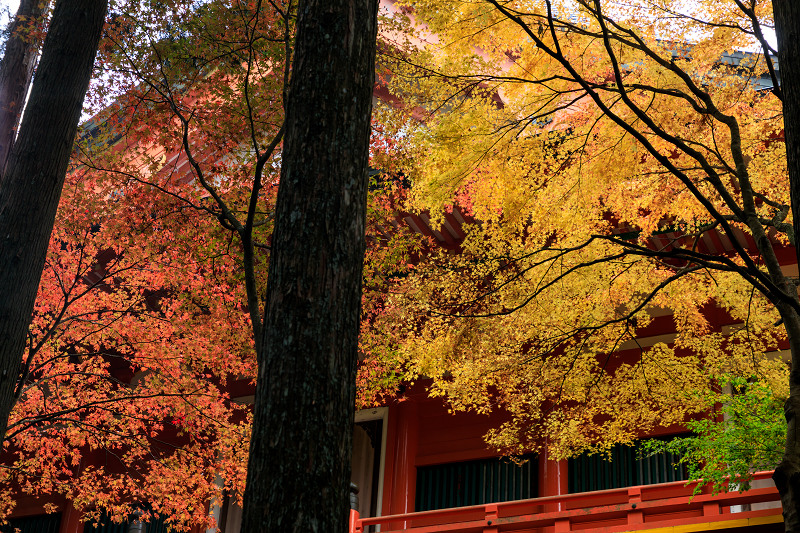 滋賀の紅葉2018　延暦寺の秋（横川中堂編）_f0155048_044053.jpg