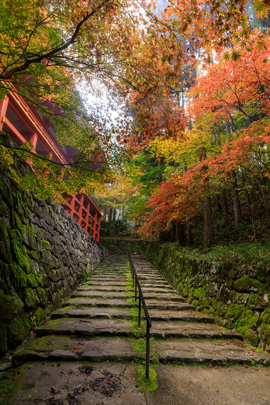 滋賀の紅葉2018　延暦寺の秋（横川中堂編）_f0155048_064165.jpg