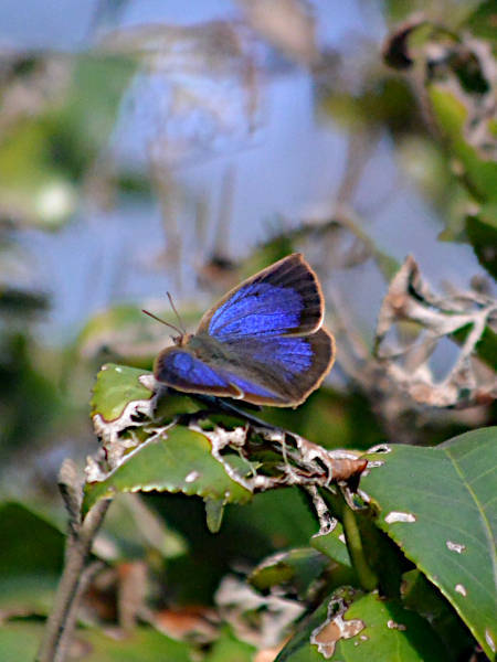 c0045352_17405289.jpg
