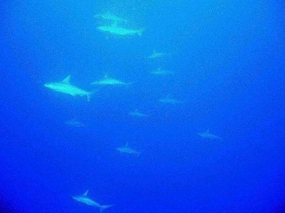 11月26日 見える陸、見えない海_d0113459_18132071.jpg