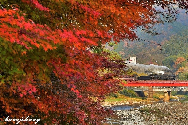 中国紅葉大返し~SLやまぐち号~_c0173762_19214363.jpg