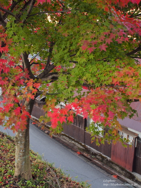 c0238163_12443581.jpg