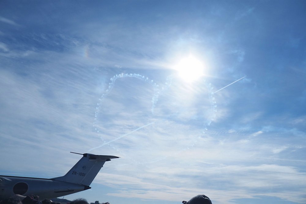 岐阜基地航空祭３（ブルーインパルス）_b0140765_19411497.jpg