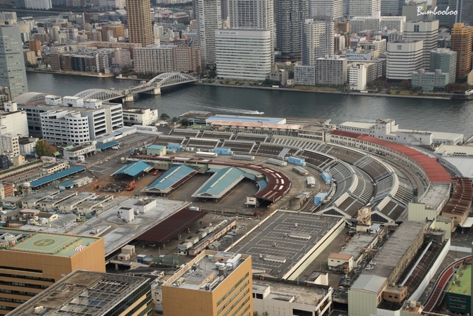 a0157968_15492780.jpg