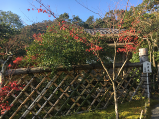 光悦寺の紅葉_f0363168_07123578.png