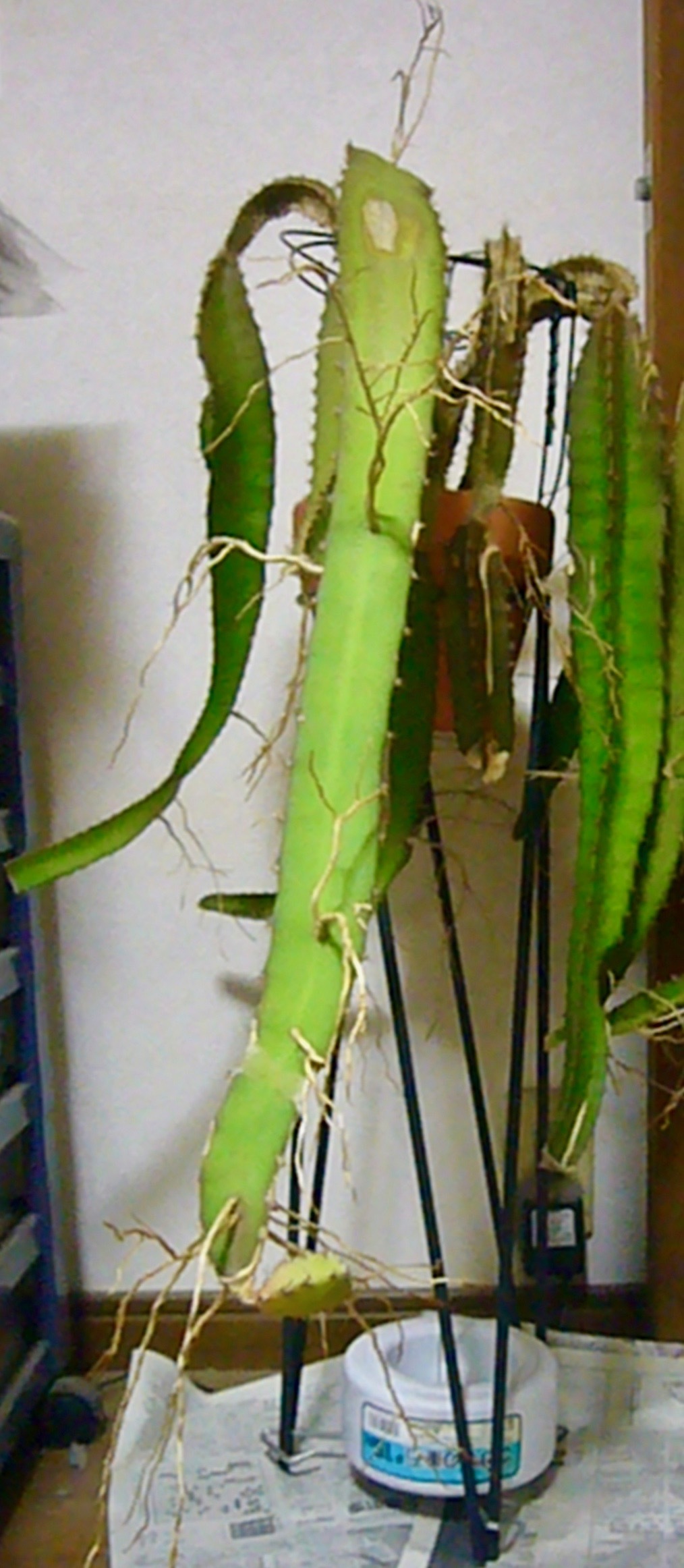 b0025169_21102807.jpg