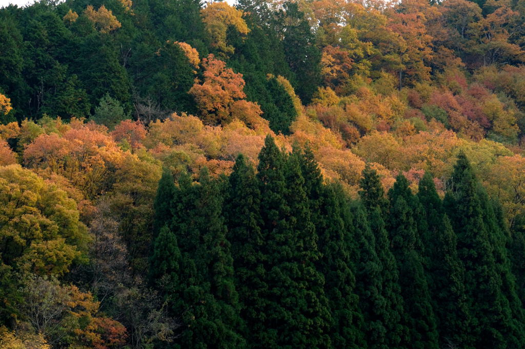 f0323171_11120262.jpg