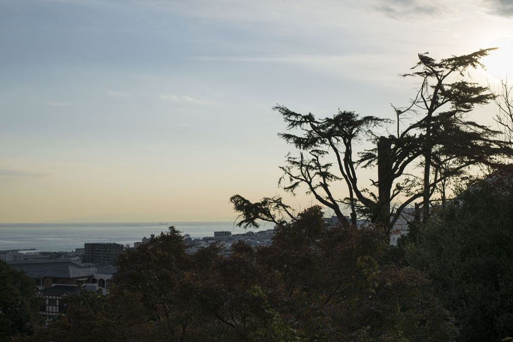 c0108673_23184684.jpg