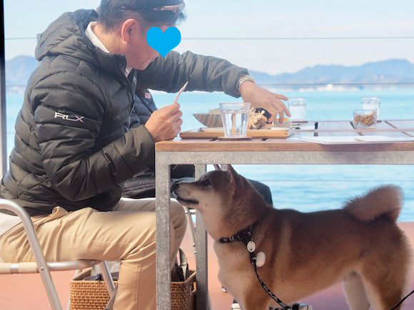 こっちゃん海を渡る　〜２０１８　晩秋〜　豊島編_a0232774_11542741.jpg