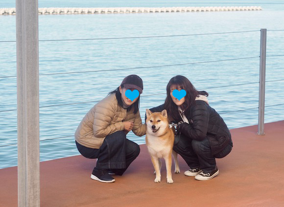 こっちゃん海を渡る　〜２０１８　晩秋〜　豊島編_a0232774_12043939.jpg