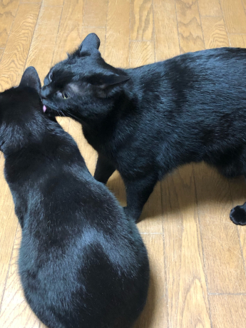 知らなかった_e0355177_09283545.jpg
