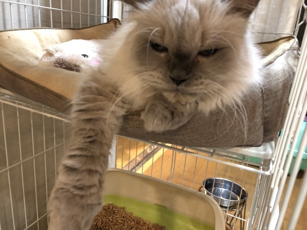 b0377882_11264568.jpeg